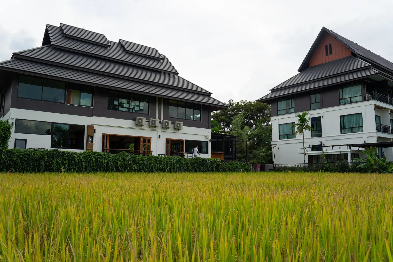 Advantages of Drug Rehabilitation Centres